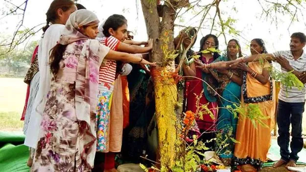 Van Samaradana: వన సమారాధన...ప్రకృతి ఆరాధన