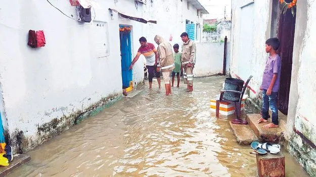 జడివాన