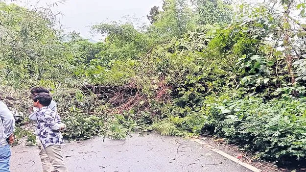 ఈదురుగాలుల బీభత్సం 