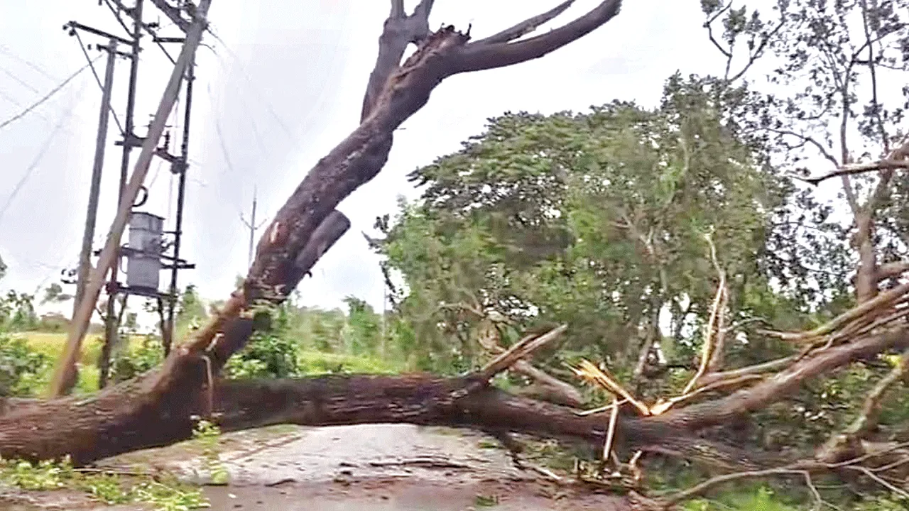 Galiwana disaster గాలీవాన బీభత్సం