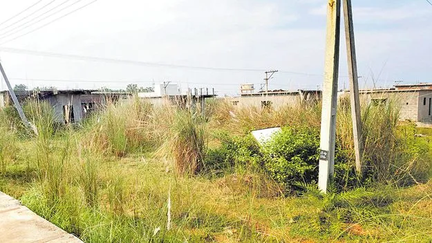 గూడు..గోడు!