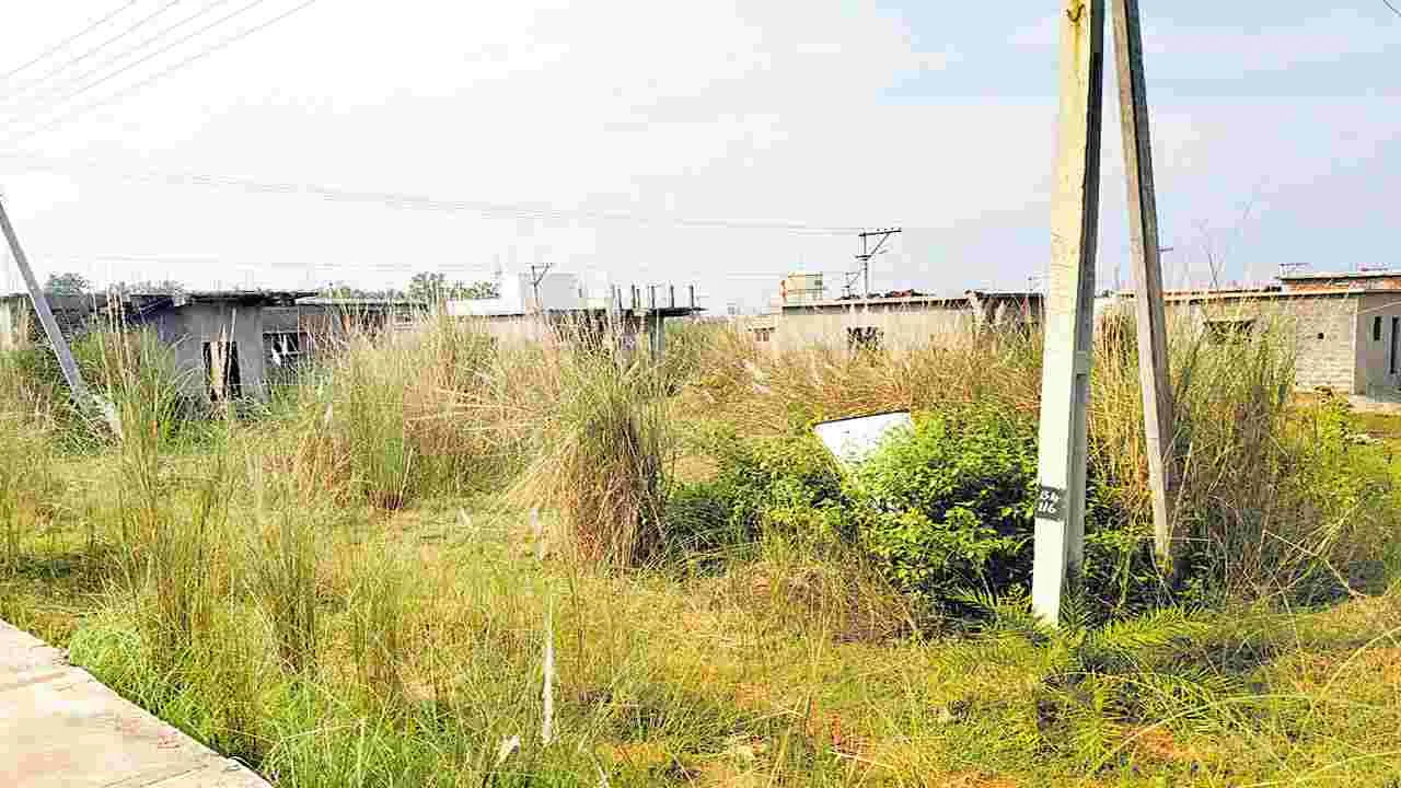 గూడు..గోడు!