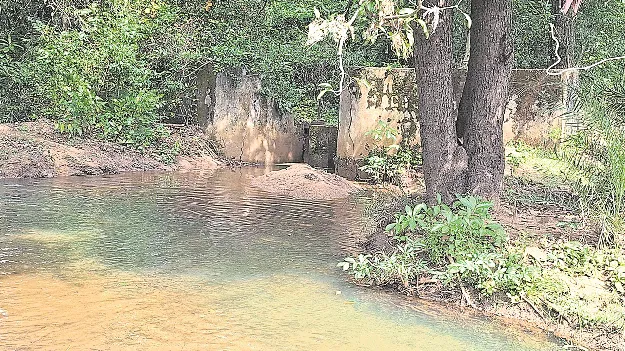 kumaram bheem asifabad- కాలువలు అధ్వానం..సాగు ప్రశ్నార్థకం