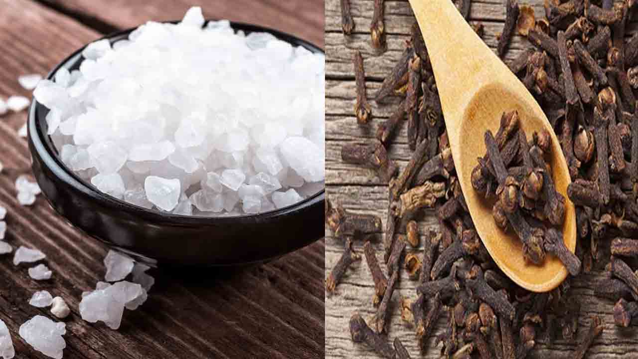 Diwali Rituals Prosperity: దీపావళి ప్రార్థనలకు శక్తినిచ్చే సాధారణ ఆచారాలు..