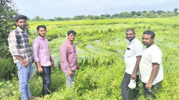 Peddapalli:  ఉప్పు నీటితో ధాన్యం మొలకెత్తకుండా జాగ్రత్త పడవచ్చు