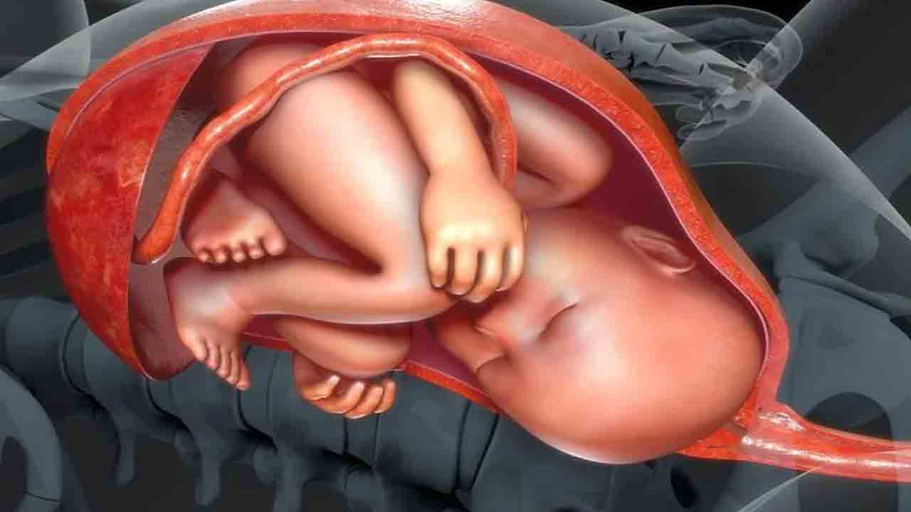 Cancer During Pregnancy: గర్భధారణ సమయంలో తల్లి నుండి బిడ్డకు క్యాన్సర్ వ్యాపిస్తుందా..?