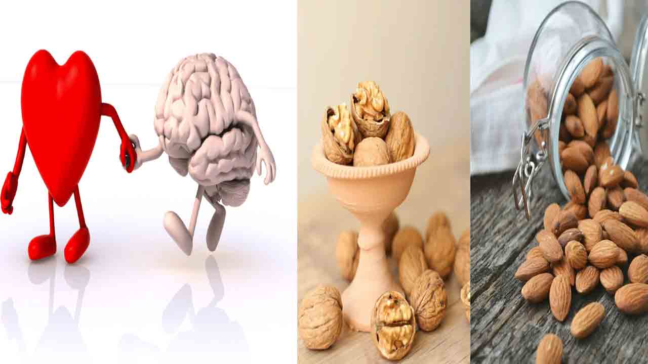 Almonds vs Walnuts:  బాదం vs వాల్‌నట్స్ ఏవి బెటర్..?