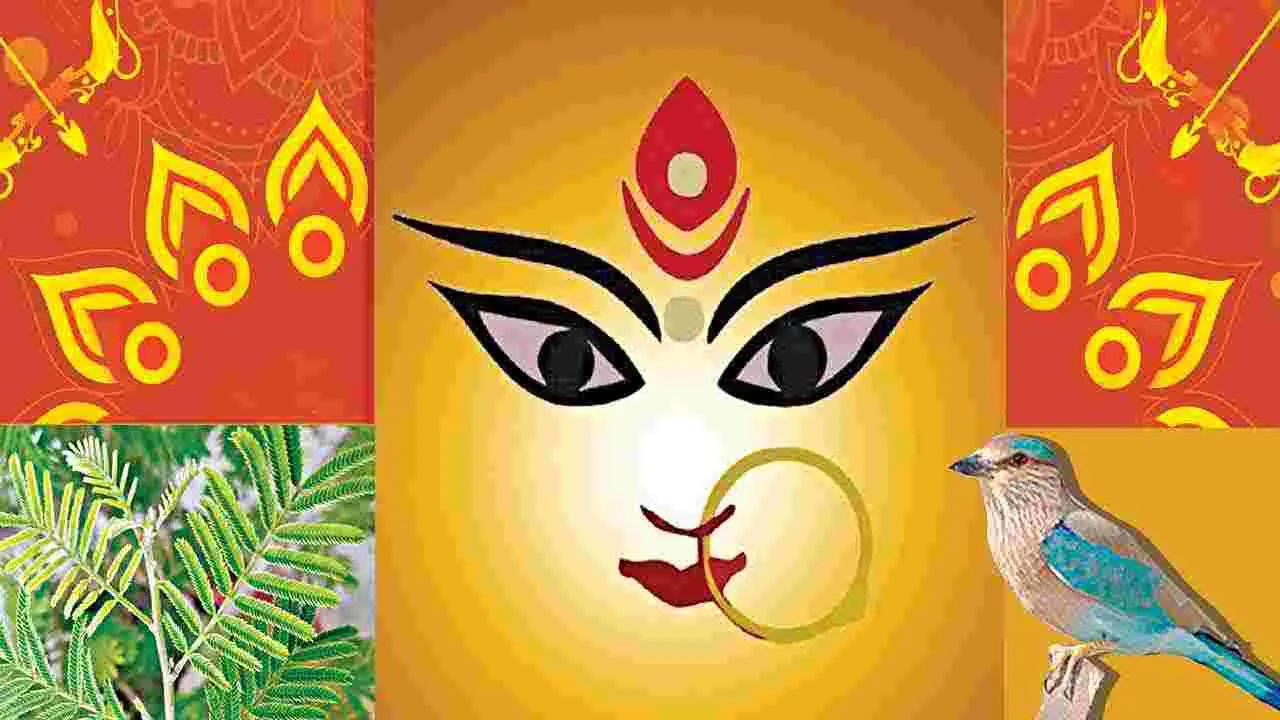 A Mothers Blessing: అమ్మ దీవెన