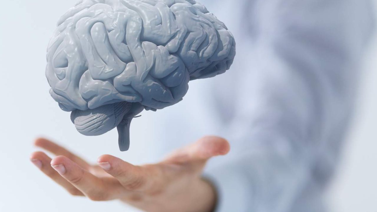 Brain Health: ఈ పోషకాలు లోపిస్తే మెదడు సామర్థ్యం దెబ్బతినడం పక్కా