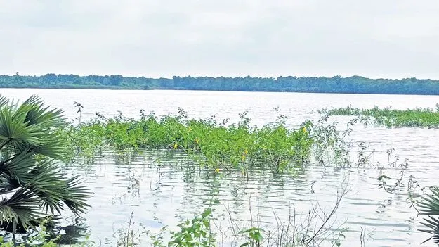 నిండుకుండలా చెరువులు