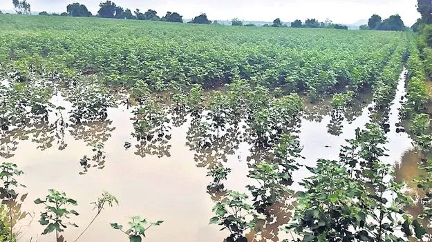 తగ్గని వరద ప్రభావం