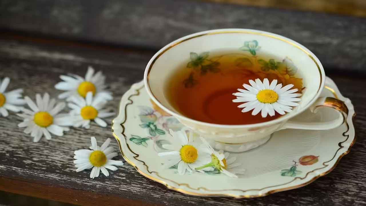 Herbal Tea: ఈ హెర్బల్ టీల వల్ల ఇన్ని ప్రయోజనాల..