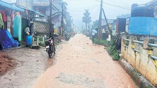 వీడని వాన