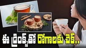 Boost Immunity This Winter:  చలికాలంలో మీ ఇమ్యూనిటీని పెంచే ఐదు డ్రింక్స్.. 
