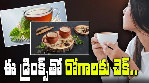 Boost Immunity This Winter:  చలికాలంలో మీ ఇమ్యూనిటీని పెంచే ఐదు డ్రింక్స్.. 