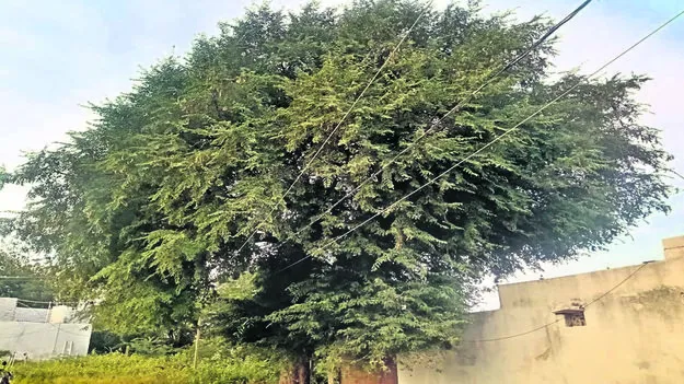 EMPLOYEES: అందుబాటులో లేని విద్యుత సిబ్బంది