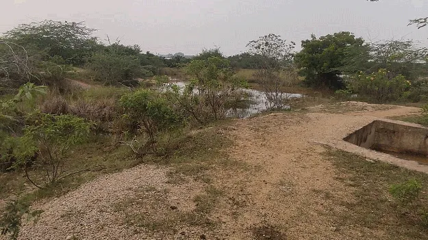 ఏళ్లు గడుస్తున్నా నత్తనడకన తెలుగుగంగ కాలువ పనులు