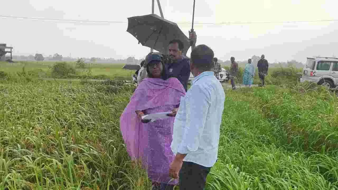 రైతుల్లో గుబులు