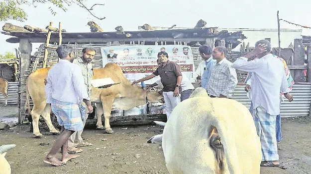 kumaram bheem asifabad- జీవాలకు టీకా రక్ష