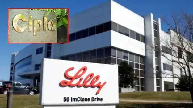 Cipla Partners with Eli Lilly to Launch Tirzepatide: ఎలీ లిల్లీతో సిప్లా జట్టు