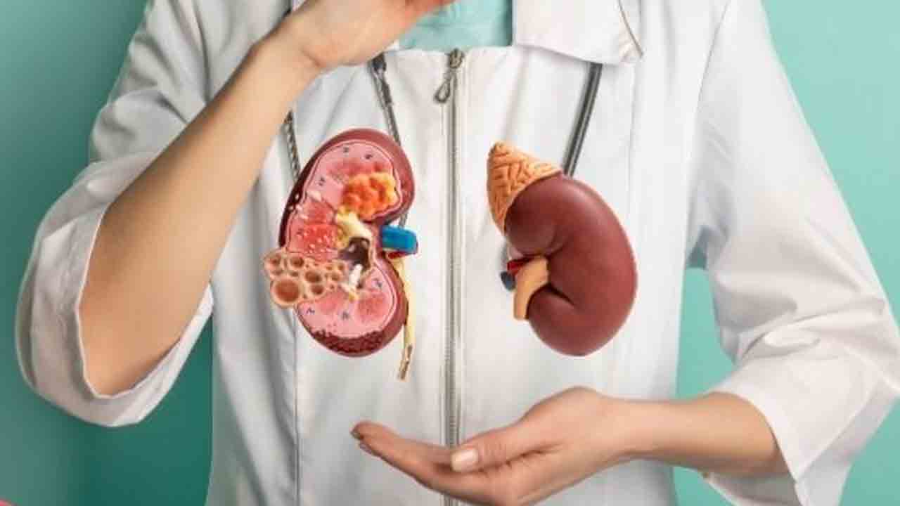 Kidney Detox Foods: మూత్రపిండాలు ఆరోగ్యంగా ఉండటానికి రోజువారి ఆహారాలు ఇవే..!