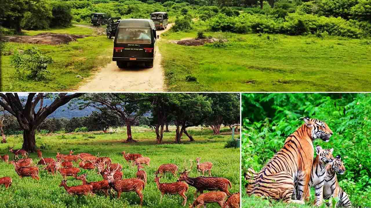 Karnataka Tourism: మీరు ఎప్పుడైనా కర్ణాటక వెళ్తే.. ఇక్కడికి తప్పకుండా వెళ్లండి..