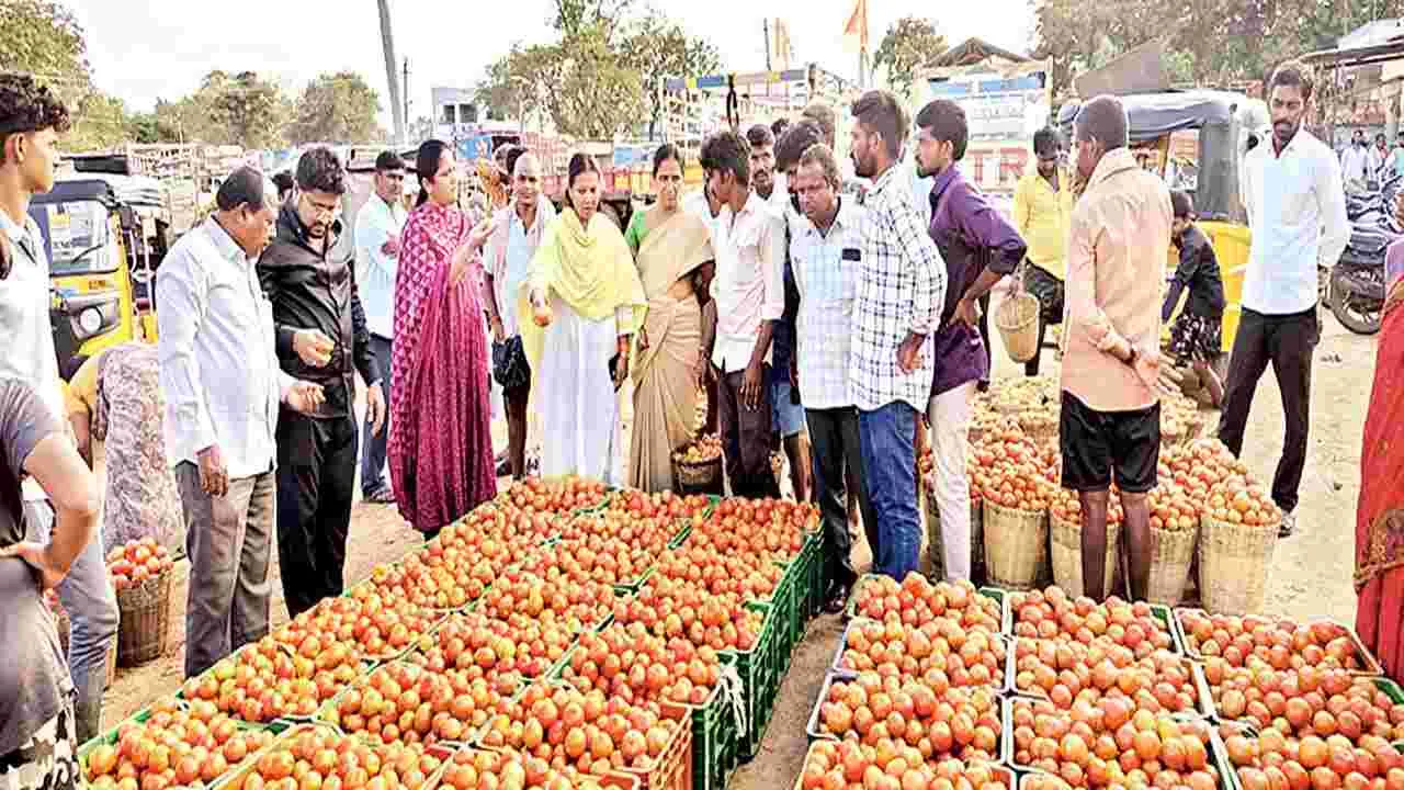 టమోటాకు గిట్టుబాటు ధర అందిస్తాం