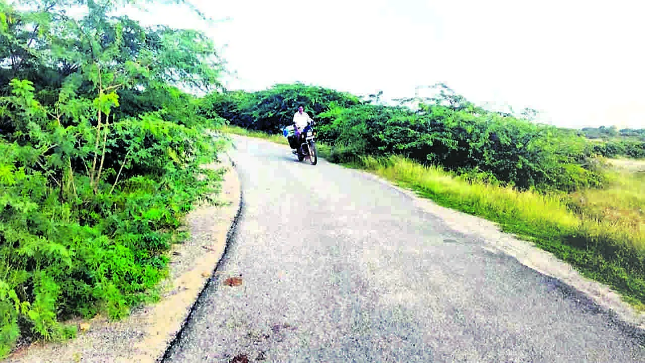 TURN : ప్రమాదకరంగా మలుపు