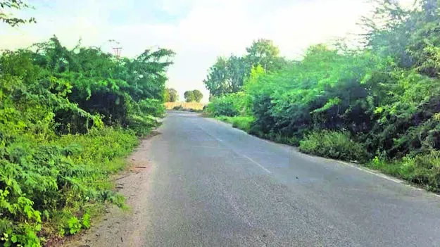 ROAD:  ప్రమాదకరంగా రోడ్డు మలుపు