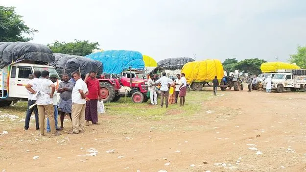 మందకొడిగా పత్తి కొనుగోలు