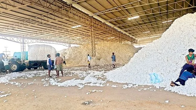 పత్తి కొనుగోలుకు గ్రీన్‌ సిగ్నల్‌