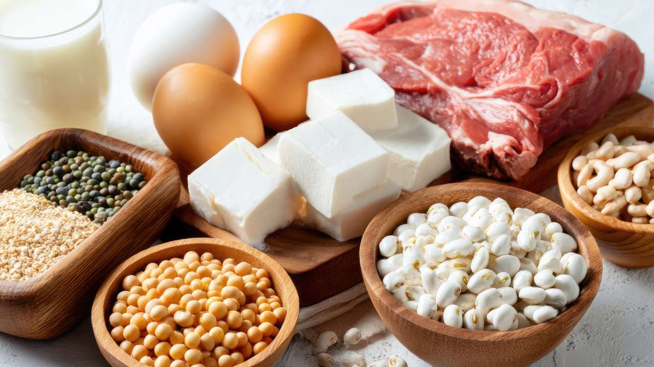 High Protein Food: అధిక ప్రొటీన్ ఫుడ్స్‌తో కండలు పెరుగుతాయనుకోవడం భారీ మిస్టేక్ 