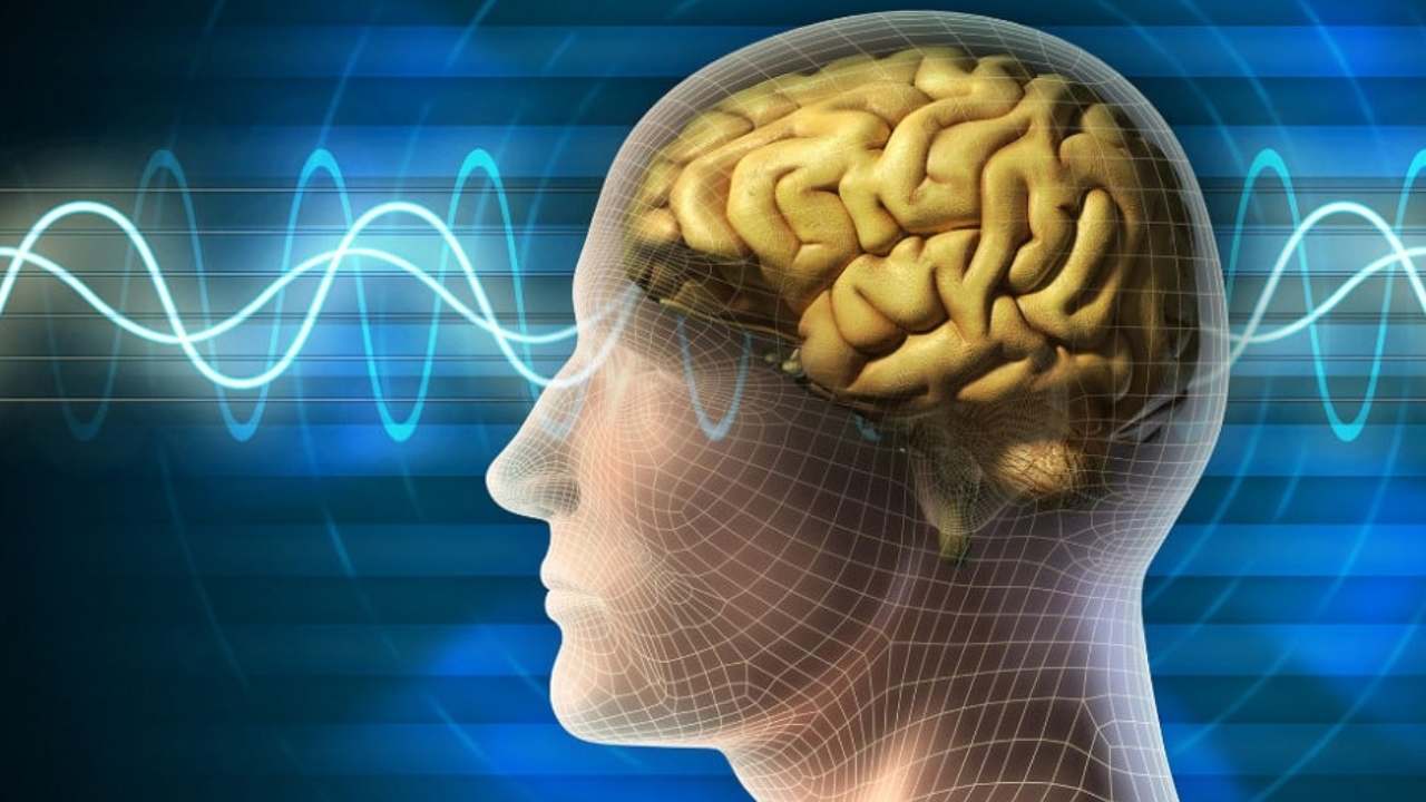 Focus: ఏకాగ్రత కాపాడుకునేందుకు మెదడుకు ఇవ్వాల్సిన ట్రెయినింగ్ ఇదే