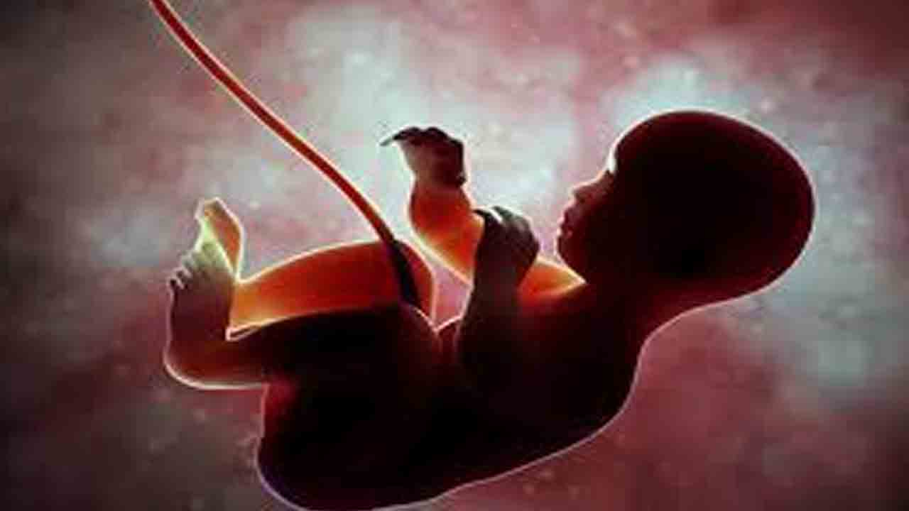 Cancer During Pregnancy: గర్భధారణ సమయంలో తల్లి నుండి బిడ్డకు క్యాన్సర్ వ్యాపిస్తుందా..?