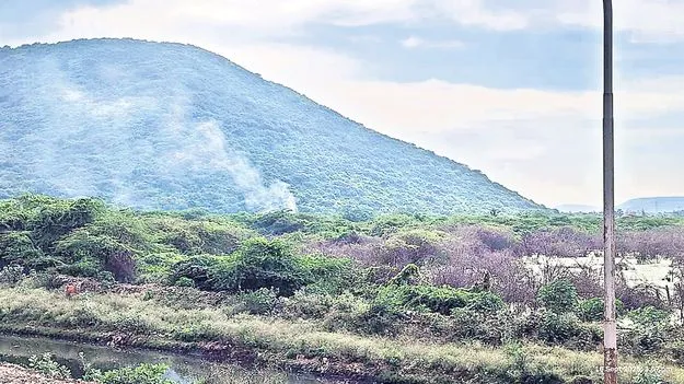 అంబుజాకు అడ్డగోలుగా భూములు