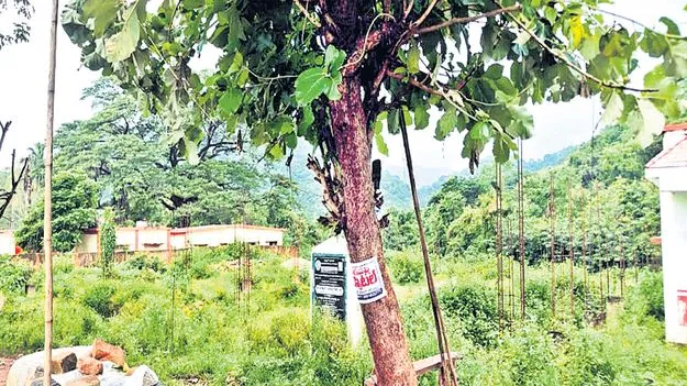  కాఫీ యూనిట్‌కు కదలిక ఏదీ?