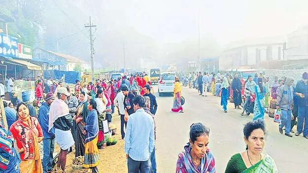 మంచులో సంత సోయగం! 