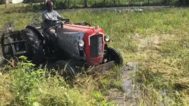 ట్రాక్టర్‌తో వరిపంటను దున్నేసిన అన్నదాత