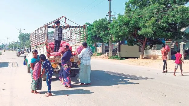 రూ.100కు 10 కిలోలు