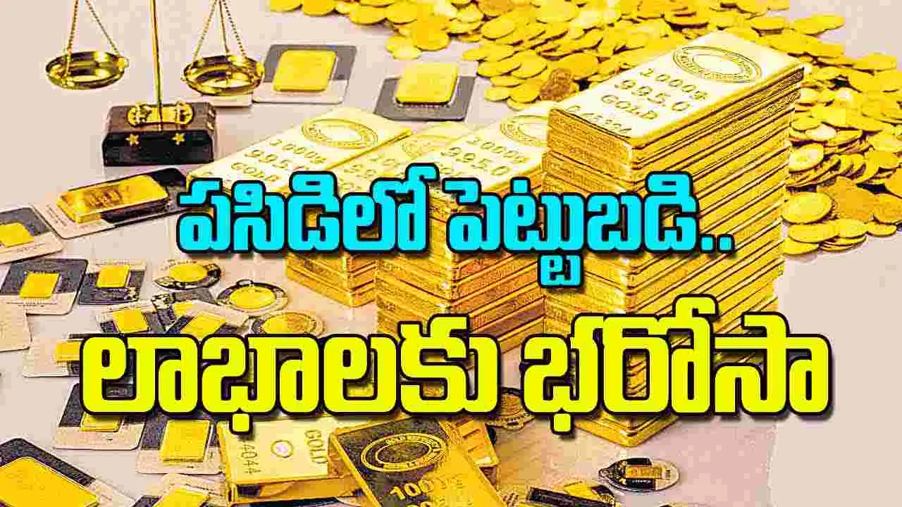 Investing in Gold and Silver: పసిడిలో పెట్టుబడి లాభాలకు భరోసా
