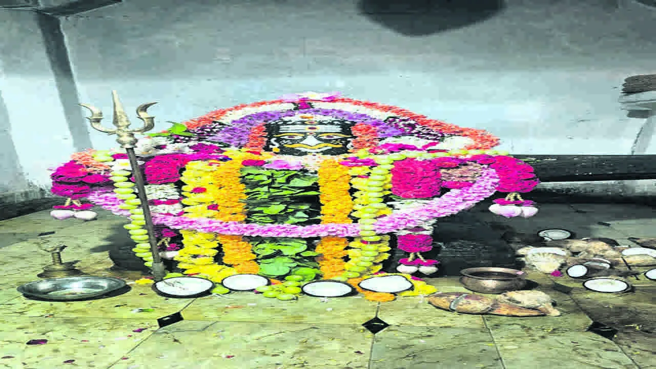 GOD: వైభవంగా కార్తీక వనభోజనాలు