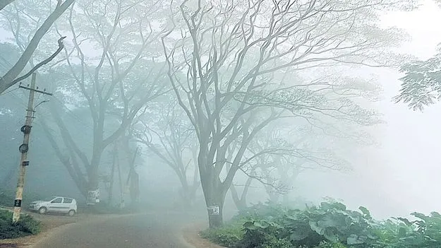 మన్యంపై మంచు దుప్పటి 