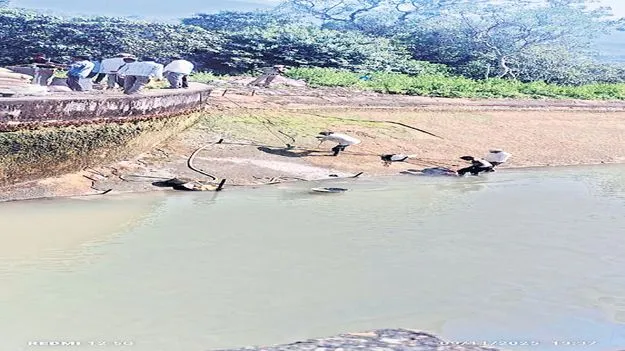 డొంకరాయి పవర్‌ కెనాల్‌లో లీకేజీ