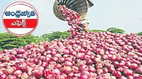 ABN Effect: ఏబీఎన్ ఎఫెక్ట్‌.. స్పందించిన ప్రభుత్వం.. తీరనున్న ఉల్లి రైతు కష్టాలు..  