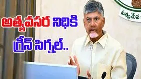 CM Chandrababu Heavy Rains: భారీ వర్షాలు.. అత్యవసర నిధుల మంజూరుకు సీఎం ఆదేశం