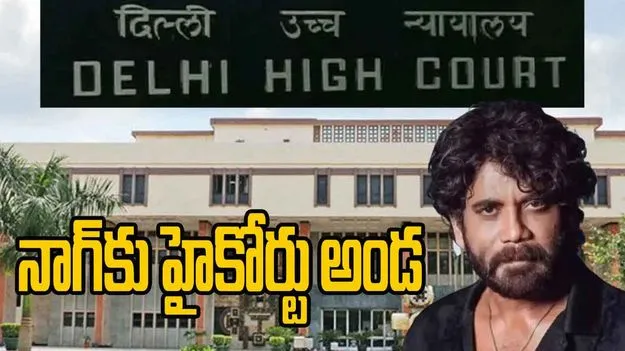 Hero Nagarjuna:  హీరో అక్కినేని నాగార్జునకు ఢిల్లీ హైకోర్టు అండ