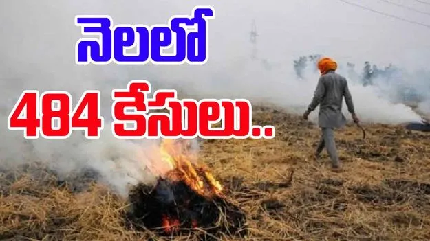 484 Stubble Burning Incidents: ఢిల్లీలో వాయు కాలుష్యం.. పంజాబ్‌లో పెరుగుతున్న పంట వ్యర్థాల దగ్ధం కేసులు