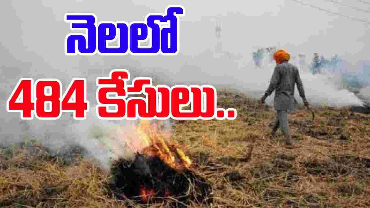 484 Stubble Burning Incidents: ఢిల్లీలో వాయు కాలుష్యం.. పంజాబ్‌లో పెరుగుతున్న పంట వ్యర్థాల దగ్ధం కేసులు