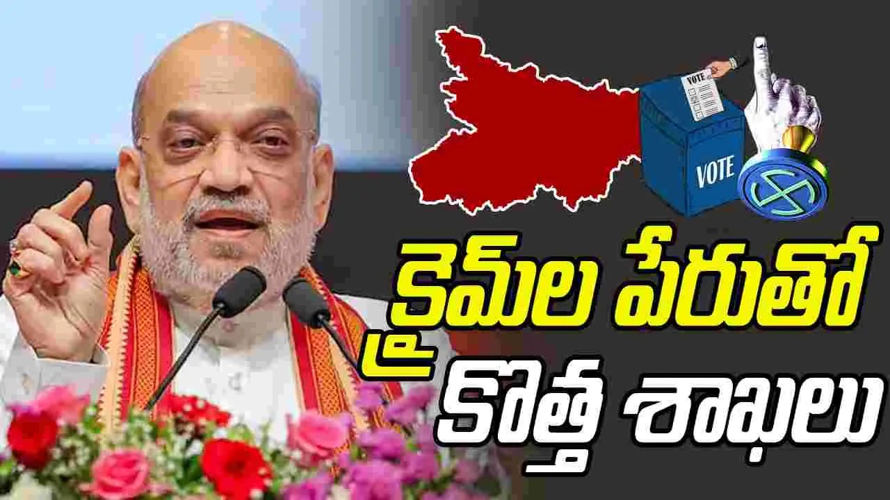 Amit shah: ఆర్జేడీ ప్రభుత్వం వస్తే కిడ్నాప్‌లు, లూటీలు, హత్యలకు కొత్త శాఖలు 