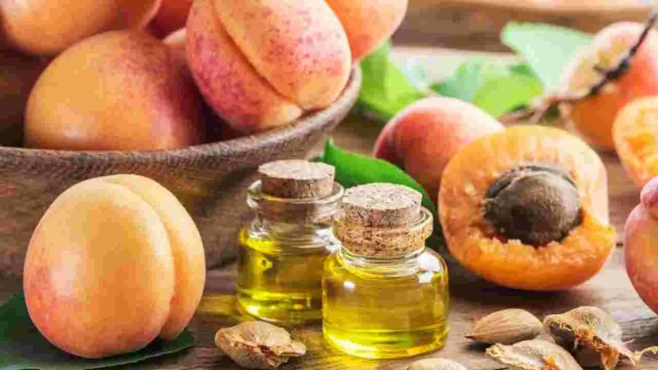 Apricot Oil Benefits: ఈ నూనెతో 120 ఏళ్ల ఆయుష్యు మీ సొంతం.. కాశ్మీర్ ప్రజల హెల్త్ సీక్రెట్ ఇదే..